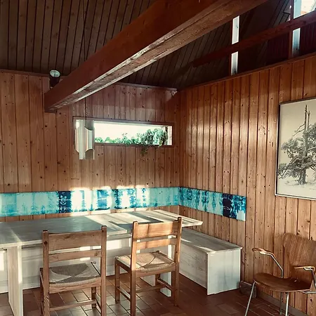 Authentic 60s Gem In Ro Near * 古兹耶姆